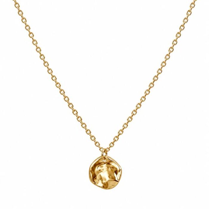 DEE MYNT HALSBAND STÅL/GULD